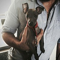 #zrobionewstudiostawki