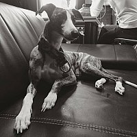 #zrobionewstudiostawki