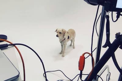 Jak czytać histogram?