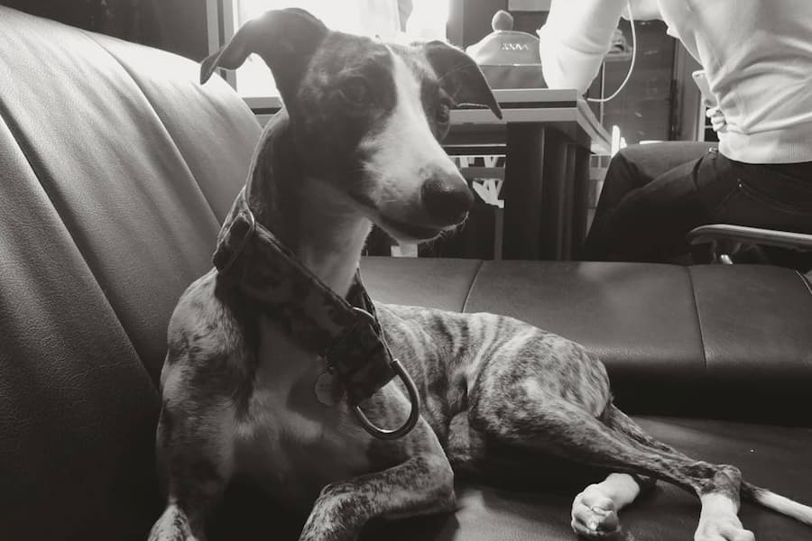 Studio Stawki - Co mówi o Tobie zdjęcie profilowe? - Biznesowe zdjęcie czarno-białe