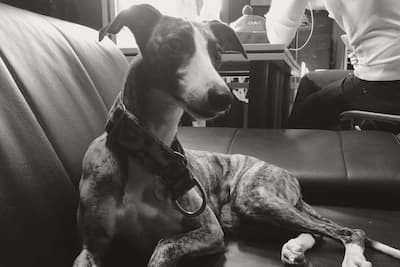 Biznesowe zdjęcie czarno-białe