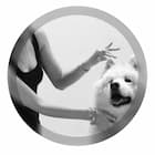 Studio Stawki - Sesja Apart Psy